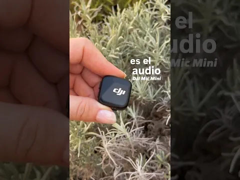 Publi. Los micros que siempre uso de DJI