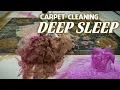 CARPET CLEANING FOR SLEEP You Won t Stay Awake 8 Hour Rug Cleaning Compilation for Sleep