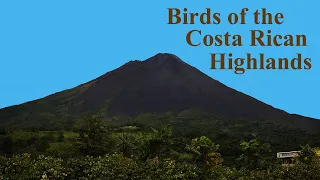 Download Birds of the Costa Rican highlands: A photographic guide. MP3