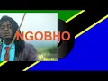 Download Lagu Ngobho Tanzania  2021