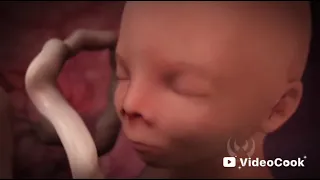 سورة مريم لحفظ الجنين والحامل واتمام الحمل ان شاء الله دندنها
