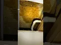 Jobs with Dominic Hidden Leak Found Behind Basement Wall