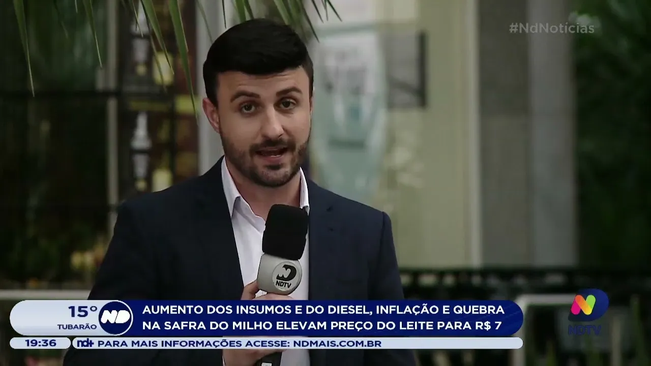 Preço do leite chega a R$ 7 em mercados catarinenses