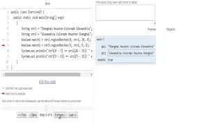 w3resource com Java String Exercise-23