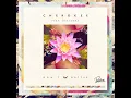 Cherokee x Darius - Don't Matter (feat. Darianna Everett)