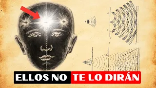 Deja de Ver Videos de Manifestación y haz ESTO para Obtener RESULTADOS REALES