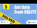 Bite Solution 5 Get data from database and query it with Pandas Python mystery game