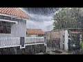 Download Lagu Stop met piekeren en ga slapen met onweer, zware regenval en harde wind.