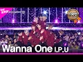 Download Lagu Wanna One, I.P.U. Jeju hallyu Festival 2018