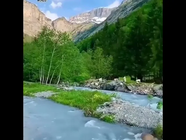 ⁣إنك ذاهب إلى الله تعالى || د. الشيخ احمد الوائلي  ( رحمهُ الله)