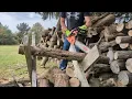Echo CS-590 Timber Wolf Review Still the Best 60cc Chainsaw
