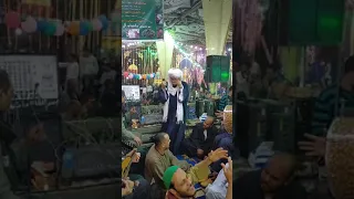 الشيخ أمين الدشناوي يبدع في ليلة سيدي عبد الرحيم القناوي 