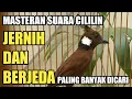 Lagu MASTERAN BURUNG KICAU SUARA ASLI TEMBAKAN BURUNG CILILIN | SUARA JERNIH DAN BERJEDA