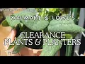 Shopping Walmart Lowe s Clearance For Planty Things