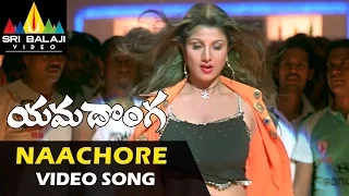 yamadonga video songs nachore nachore song jr ntr rambha sri balaji video