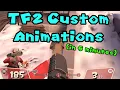 how to use TF2 custom animations in casual what i use