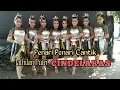 Download Lagu Turonggo Mudho Cindelaras Babak Putri