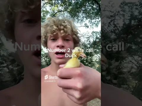 What duck is the cutest