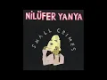 Small Crimes