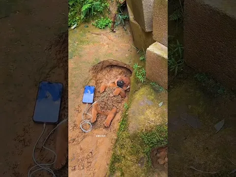 naughty puppy 🤣 #funny #funnyvideo