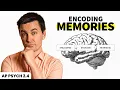 Encoding Memories AP Psychology Review Unit 2 Topic 4