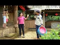 Download Lagu A day harvesting bamboo shoots, drying them to sell – A surprise visit from Loi