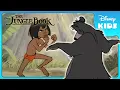 Download Lagu 🐻 Baloo Teaches Mowgli to Fight! | Jungle Book | Disney Kids