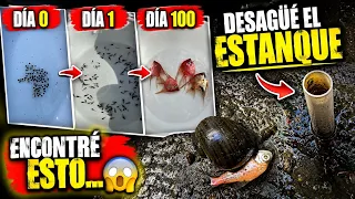 Desagüé este estanque después de 100 días… y encontré esto