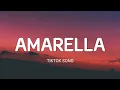 Amadela Amadela - (Lyrics) | TRAP DE AMARELLA | Tiktok viral song 2021
