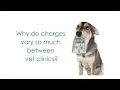 Why do prices vary so much between vet clinics