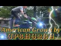 (NEW) American Grown by Upchurch (SONG) ,music,