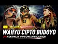 Lagu Full Surup !!! Warok WCB WAHYU CIPTO BUDOYO  - LIVE Gondangan Munggangsari Ngadirejo Temanggung
