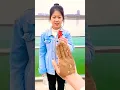 Download Lagu Những Vật Dụng Đa Nẵng \u0026 Tiện ích Trong Đời Sống Hiện Đại😱