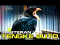 Download Lagu MASTERAN TENGKEK BUTO AUDIO JERNIH REAL VIDEO