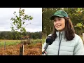 Montgomery Planning s Re-Leaf the Reserve Program