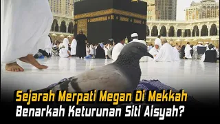 Download Kisah Merpati Megan di Tanah Suci Mekkah | KISAH ISLAMI MP3