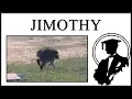 Jimothy Is Beautiful
