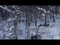Enya - Evening Falls (Extended) 4K