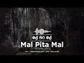 Mal Pita Mal - Amal Perera | මල් පිට මල්  | Official Audio
