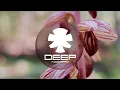Tiësto & Mathame - Everlight