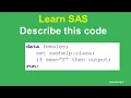Describe this sas code 1004 - subset data using output statement in SAS