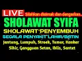 Download Lagu SHOLAWAT TIBBIL QULUB (SYIFA) SHOLAWT MALAM KAMIS BERKAH, Sholawat Syifa Pengantar Tidur