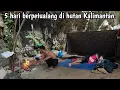 Download Lagu 5 hari berpetualang berburu di hutan Kalimantan 