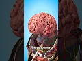 Download Lagu What Is A Lobotomy? 😨