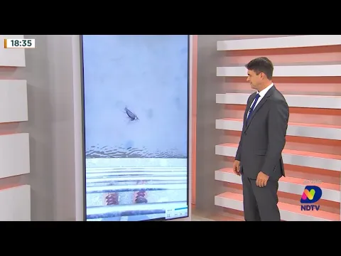 Temporada de inverno: homem flagra pinguim no Trapiche do João Paulo, em Florianópolis