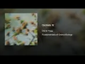Orchids IV