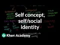 Self concept self identity and social identity Individuals and Society MCAT Khan Academy
