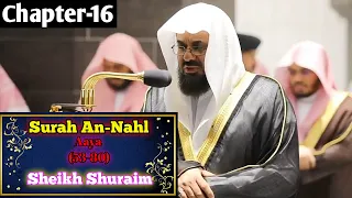 surah an nahl 53 80 by sheikh shuraim with arabic text and english translation