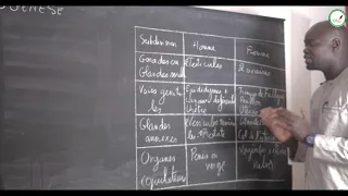 course terminale svt reproductive organs gametes gametogenesis
