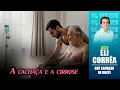 Download Lagu A cachaça e a cirrose | Eli Corrêa Oficial |